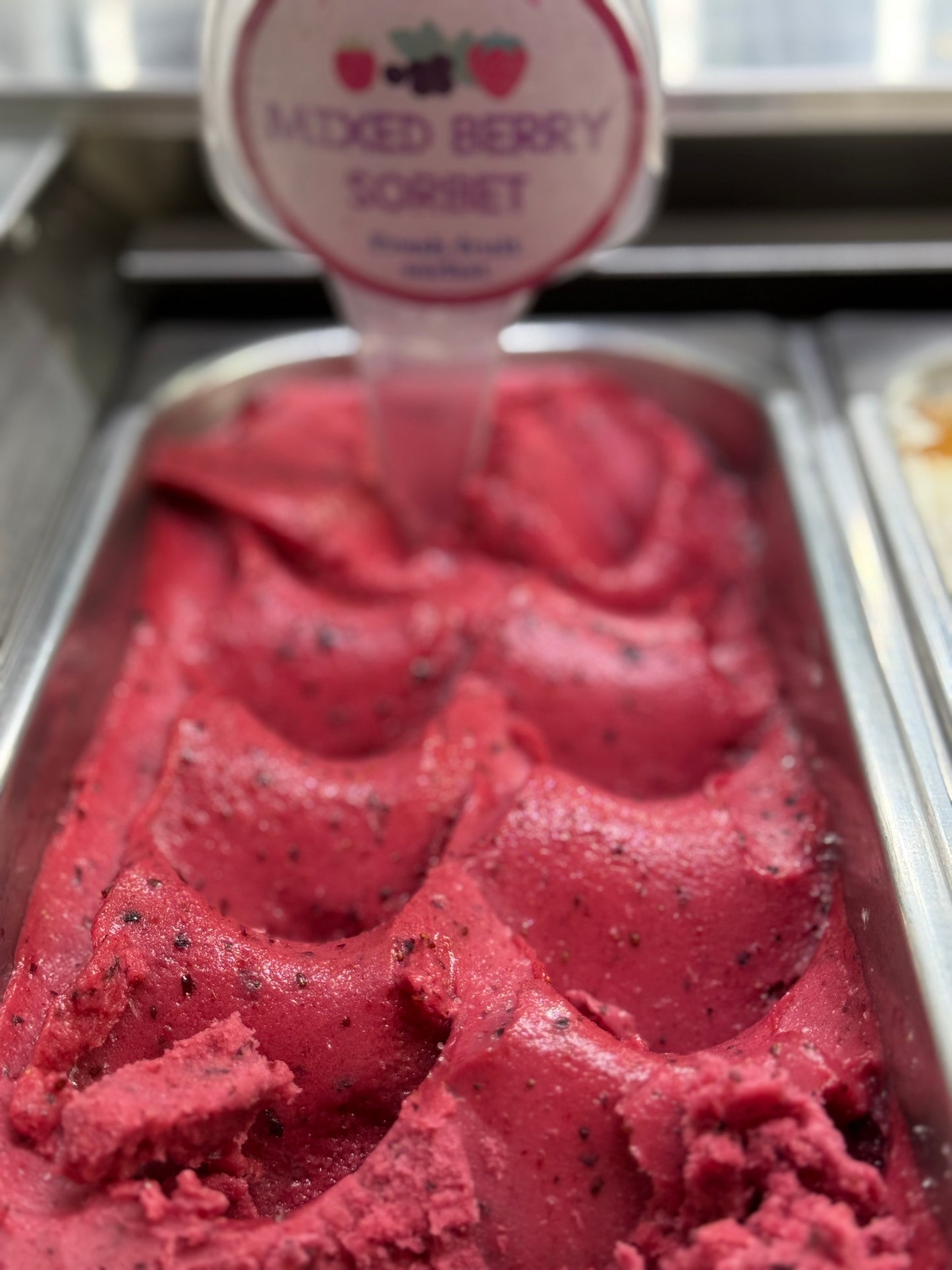 Medium Tub - Mixed Berry Sorbet